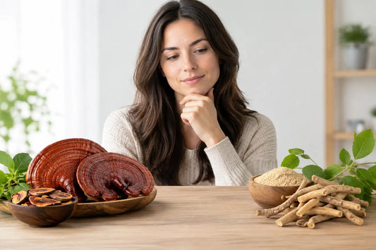 Reishi oder Ashwagandha bei Stress wählen?