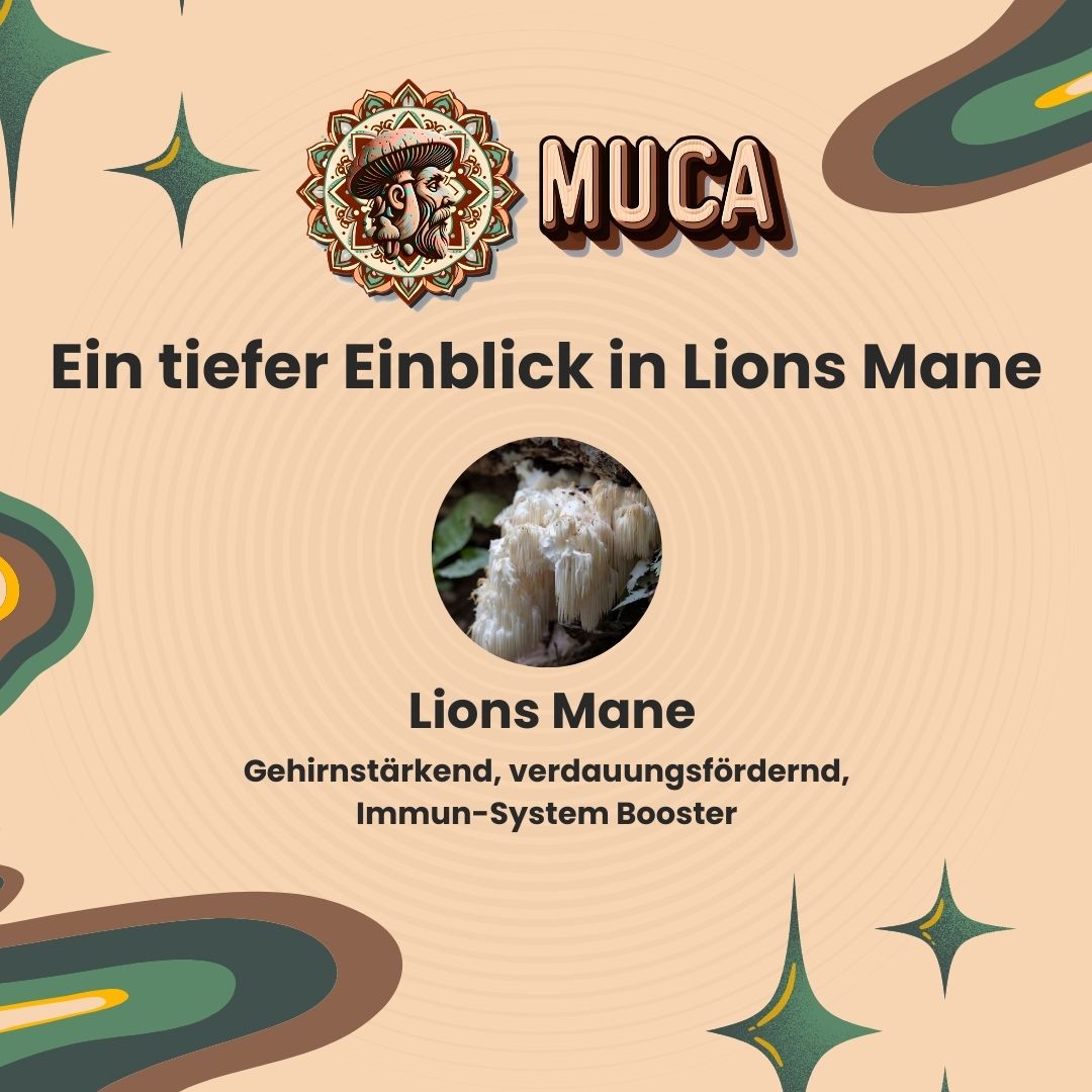 Lions Mane: Ein Nährstoffwunder!