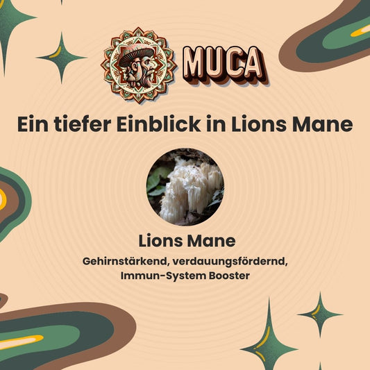 Lions Mane: Ein Nährstoffwunder!