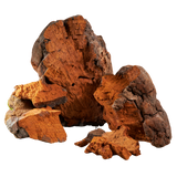 Chaga
