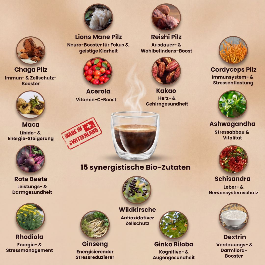 MUCA Vitalpilz-Getränk – Kaffee-Alternative für Fokus & Energie – MUCA KLG