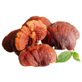 Reishi